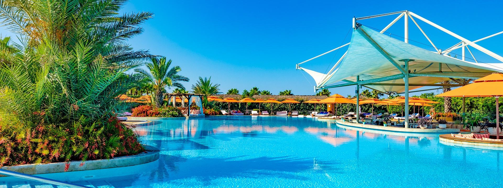 Regnumcarya Adult Pool 01 Banner