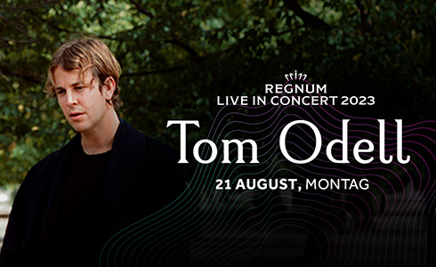 TOMODELL WEB SİTESİ Magazıne BANNER De490x300 Card