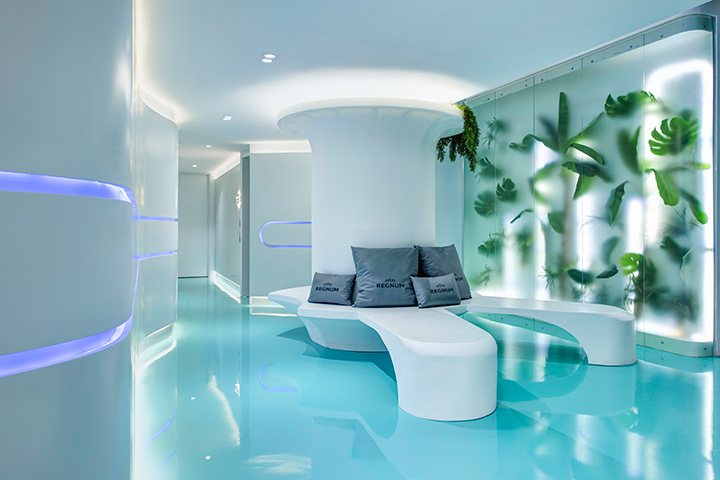 REGNUM CARYA LONGEVITY 01 Card V2