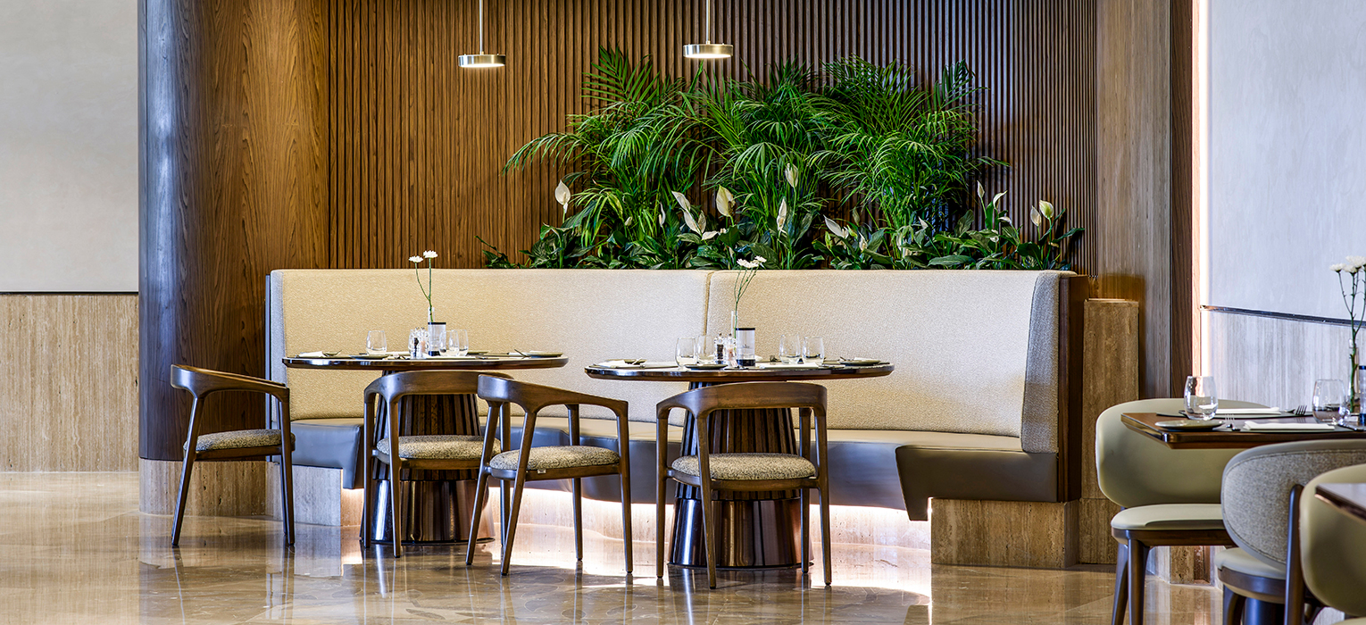 REGNUM THE CROWN DAPHNE 01