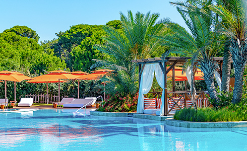 Regnumcarya Adult Pool 04 Card